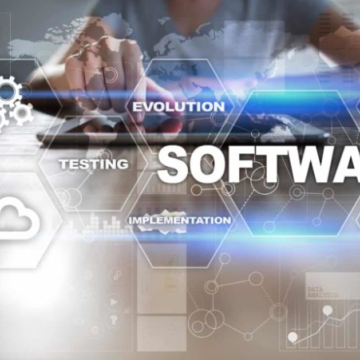 Software Consulting